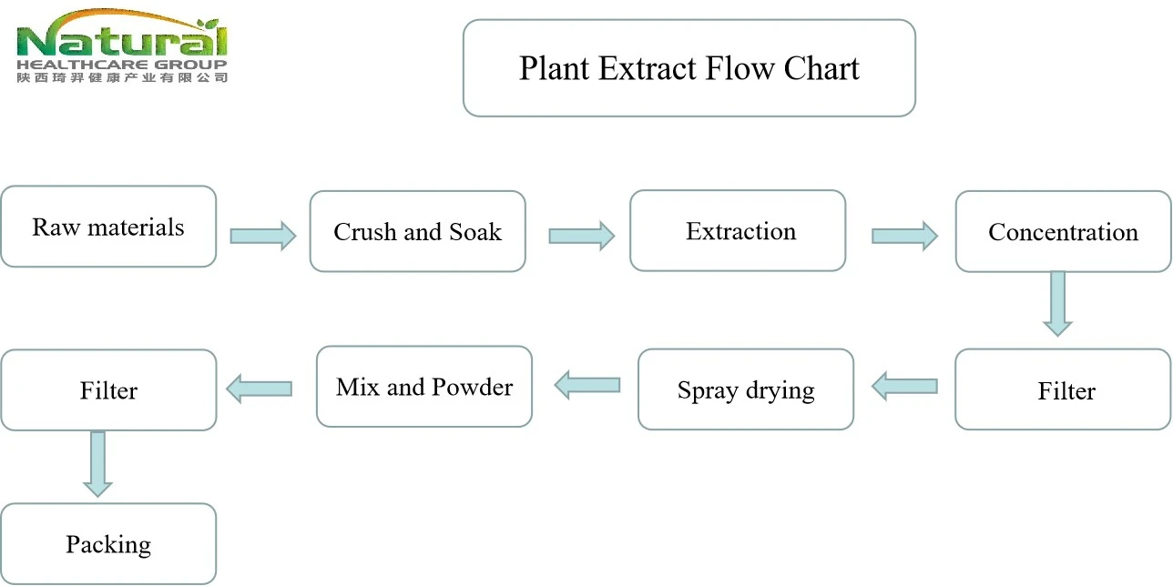 product-600-550 flow chart