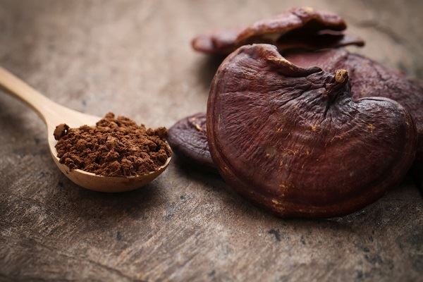 Reishi Mantarı Uygulaması Nedir?