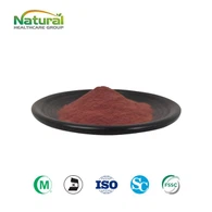 Hibiscus Sabdariffa Özü Tozu