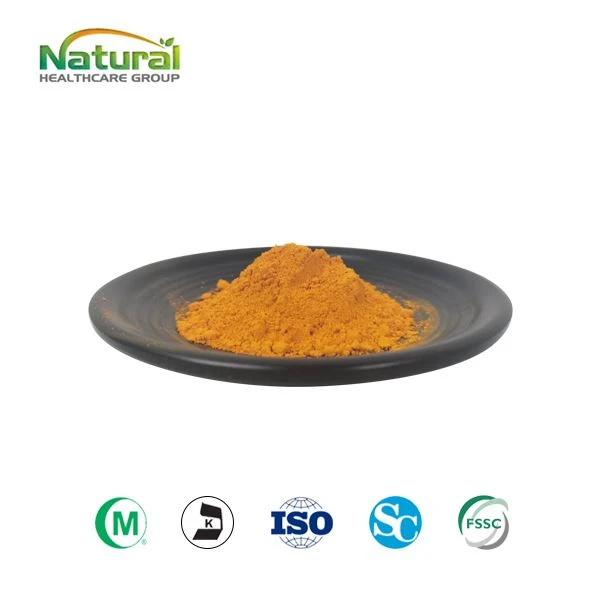 B2 Vitamini (Riboflavin) 83-88-5