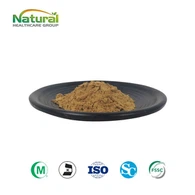 Ginkgo Biloba Özü Tozu