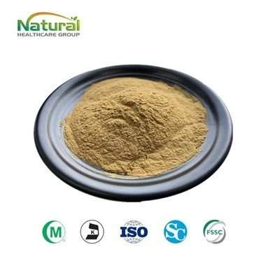 Silybin yüzde 90